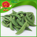 Suministro Bulk Snap Peas congelados IQF Sweet Peas